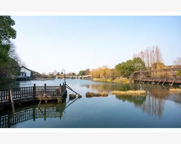 清肺烟茶：帮助呼吸健康的好选择