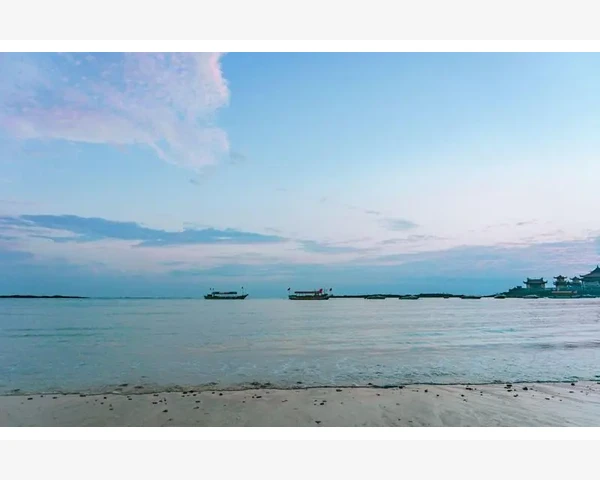 调养脾胃，享受健康饮食之旅