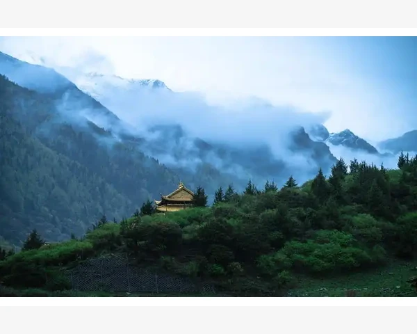 脾胃病消化的奥秘：中医视角解析与养生指南