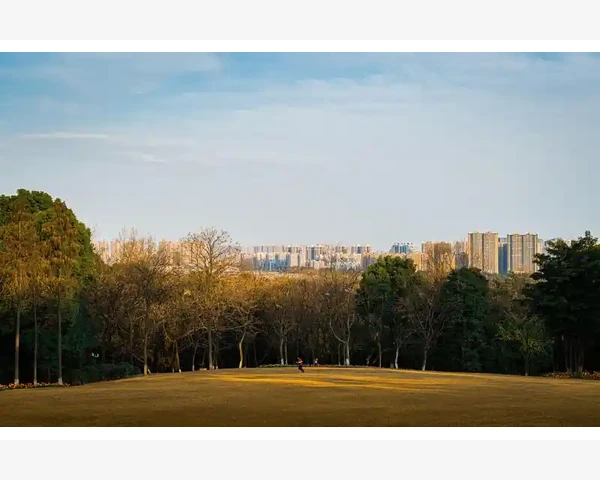 吃什么糖化痰止咳？中医科普揭秘：润肺化痰养生之道